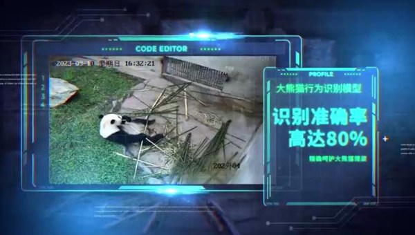 00后大学生研发全球首个大熊猫“AI奶爸” 00后大学生研发全球首个大熊猫“AI奶爸”