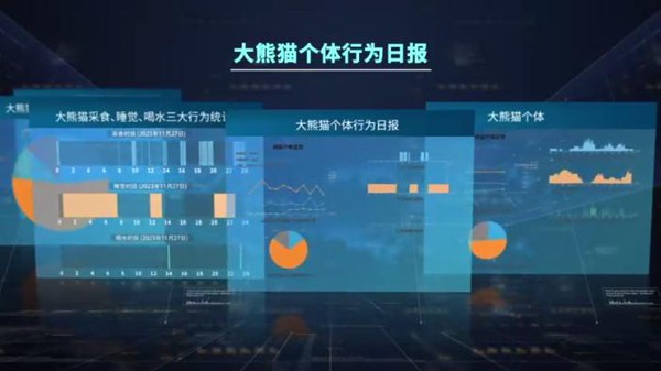 00后大学生研发全球首个大熊猫“AI奶爸” 00后大学生研发全球首个大熊猫“AI奶爸”